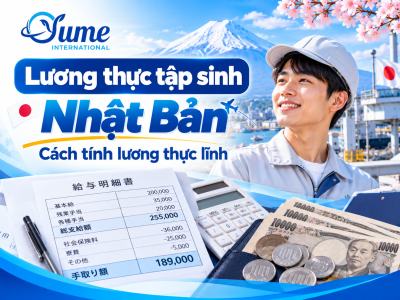 Lương thực tập sinh Nhật Bản bao nhiêu? Cách tính lương thực lĩnh