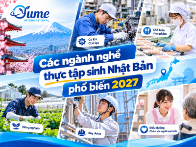 Các ngành nghề thực tập sinh Nhật Bản phổ biến 2027