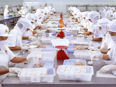 Có nên lựa chọn ngành chế biến khi xuất khẩu lao động Nhật Bản